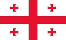 Country flagLogo for .net.ge Domain