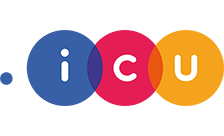 Country flagLogo for .icu Domain