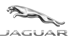 .jaguar Domain .jaguar Domain