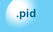 Country flagLogo for .pid Domain