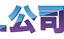 Country flagLogo for .公司 Domain