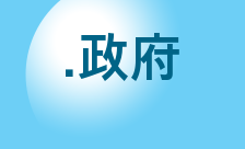Country flagLogo for .政府 Domain