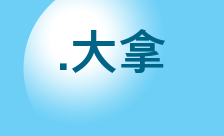 Country flagLogo for .大拿 Domain