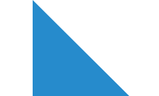 Country flagLogo for .zuerich Domain