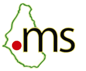 Logo for MNI Networks registry