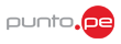 Logo for Punto PE registry