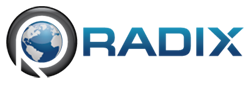 Logo for Radix Registry registry